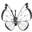 Vivillon Vivillon